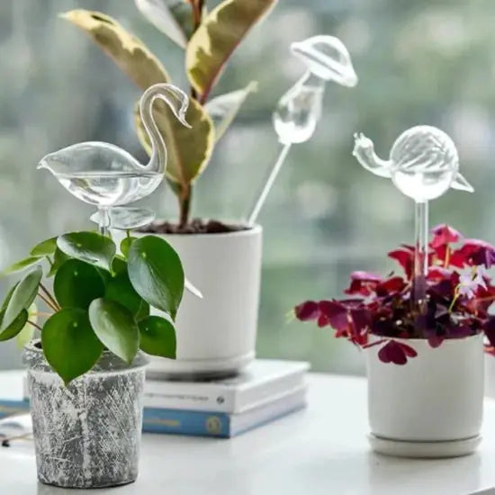 🌿 Automatic Plant Water Feeder – Effortless Hydration for Lush, Thriving Plants KIMDRE