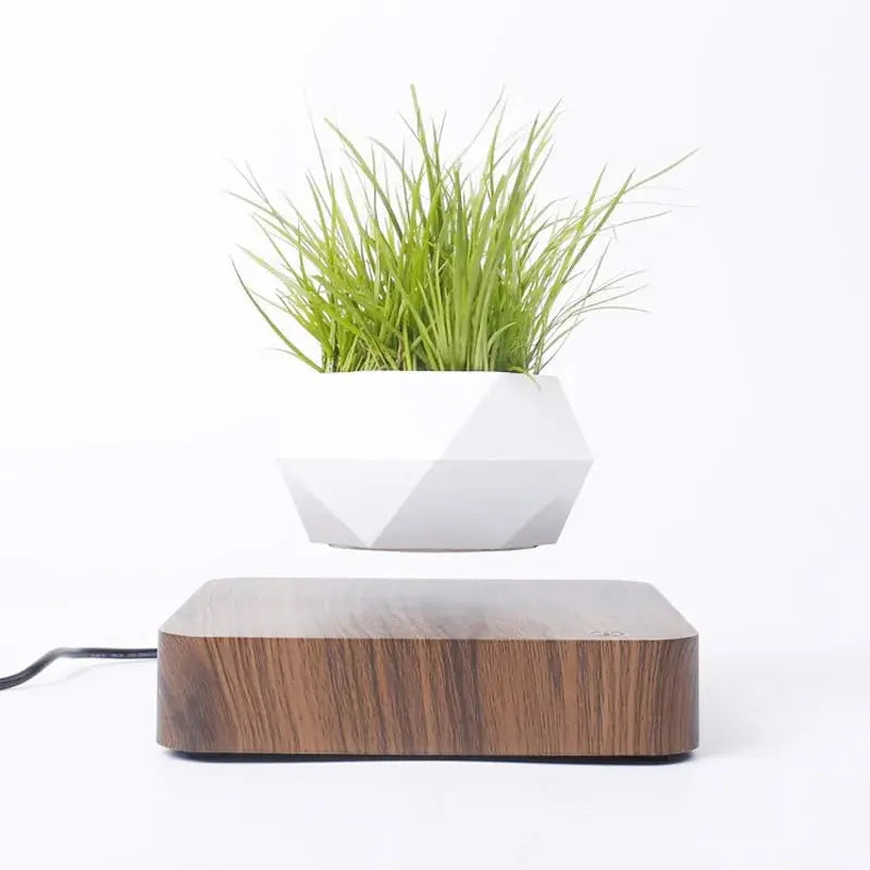 Levitating Bonsai Pot KIMDRE