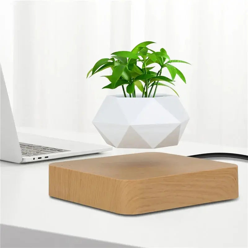 Levitating Bonsai Pot KIMDRE