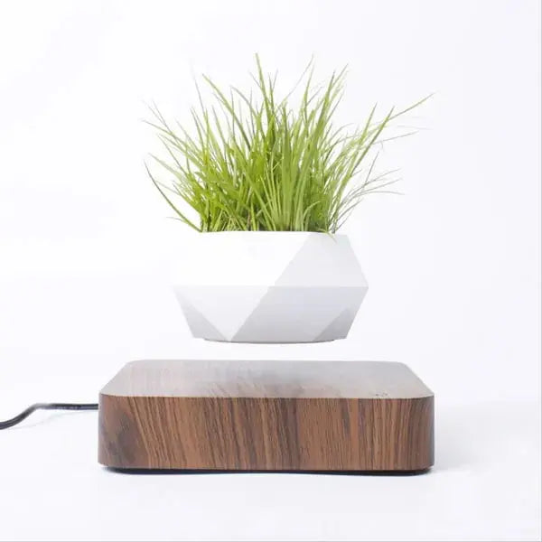 Levitating Bonsai Pot KIMDRE