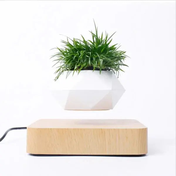 Levitating Bonsai Pot KIMDRE