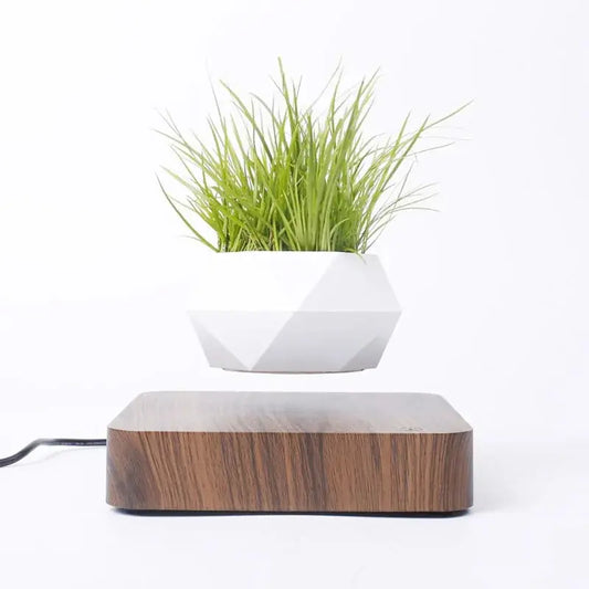 Levitating Bonsai Pot KIMDRE