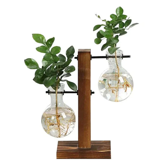 🌱 Premium Glass Plant Pot &amp KIMDRE