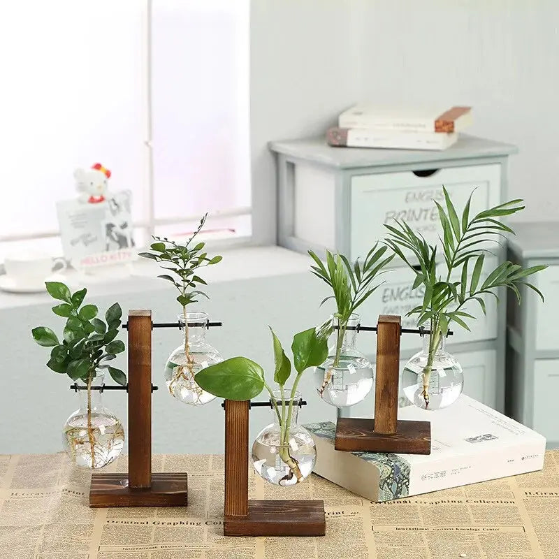 🌱 Premium Glass Plant Pot &amp KIMDRE