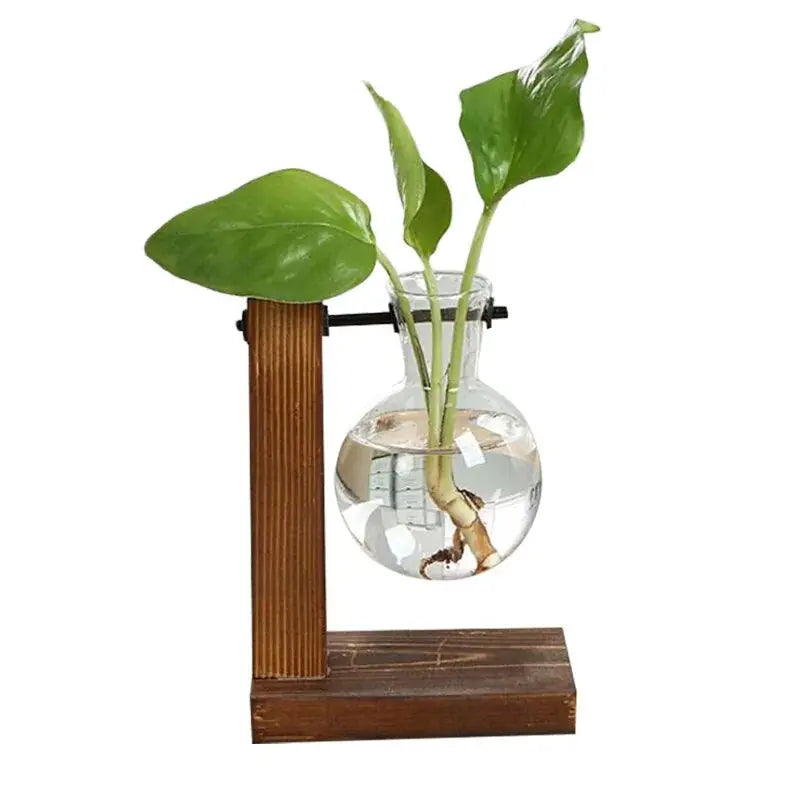 🌱 Premium Glass Plant Pot &amp KIMDRE