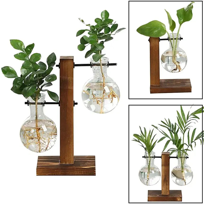 🌱 Premium Glass Plant Pot &amp KIMDRE